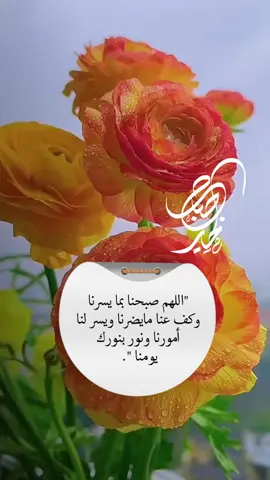 اللهم صبحنا بما يسرنا وكف عنا مايضرنا ويسر لنا أمورنا ونور بنورك يومنا 🌸🌿#صباح_الخير #صباحكم_معطر_بذكر_الله 