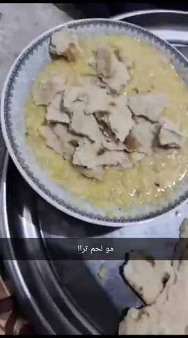 #عدس#بسه #قطط 