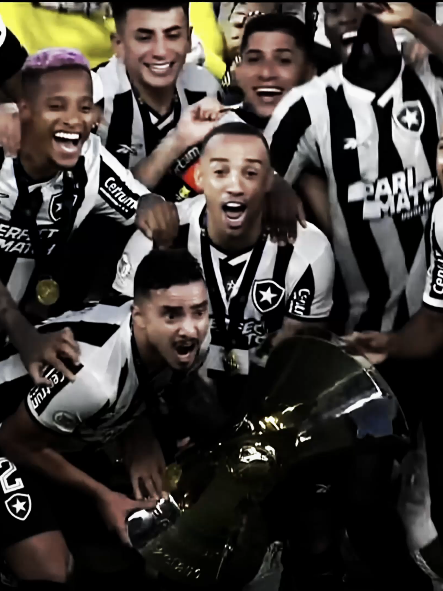 08/12/24  I #fyp #botafogo #edit #viralvideos #foryou #libertadores #brasileirao