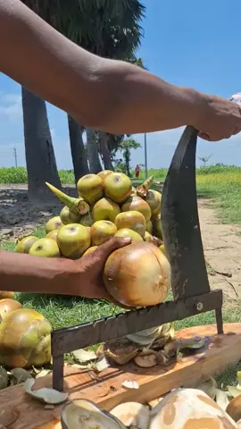 fruit cutting board 