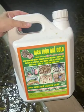 Dịch trùn quế gold 