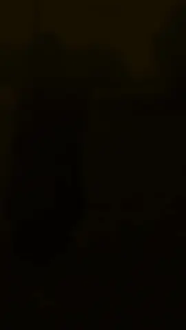 #😫🕊️