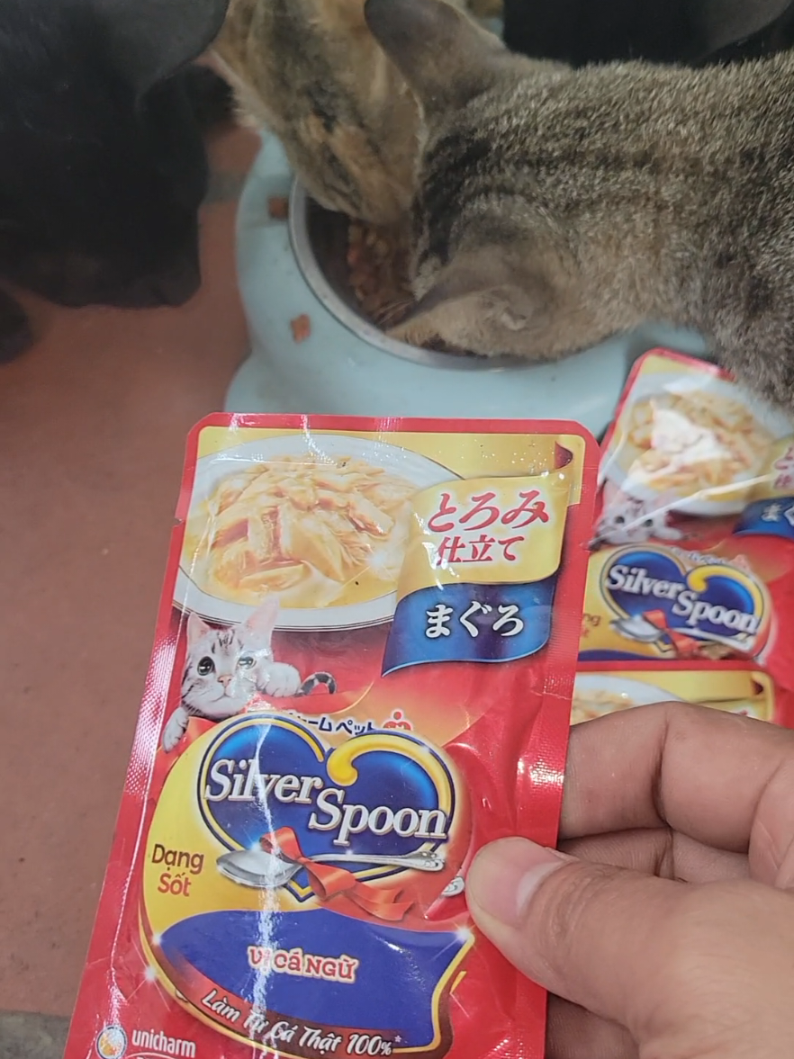 Thức ăn ướt cho mèo Silver spoon#thucanuotchomeo #mèo #mèodễthương #minha198 #xuhuong 