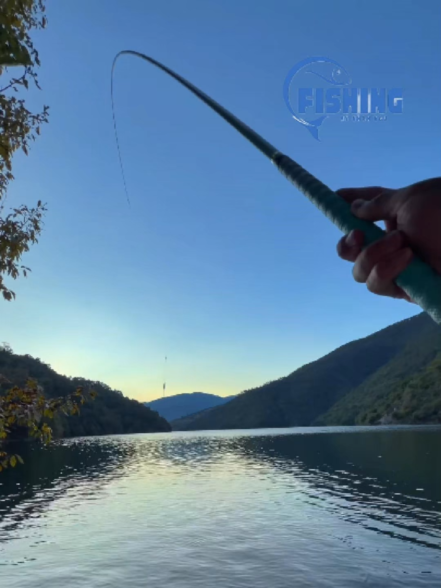 Đi câu để xả stress, ai ngờ stress hơn vì cá nó thông minh quá #CâuCá #Fishing #CauCa #SongNgoaiTroi