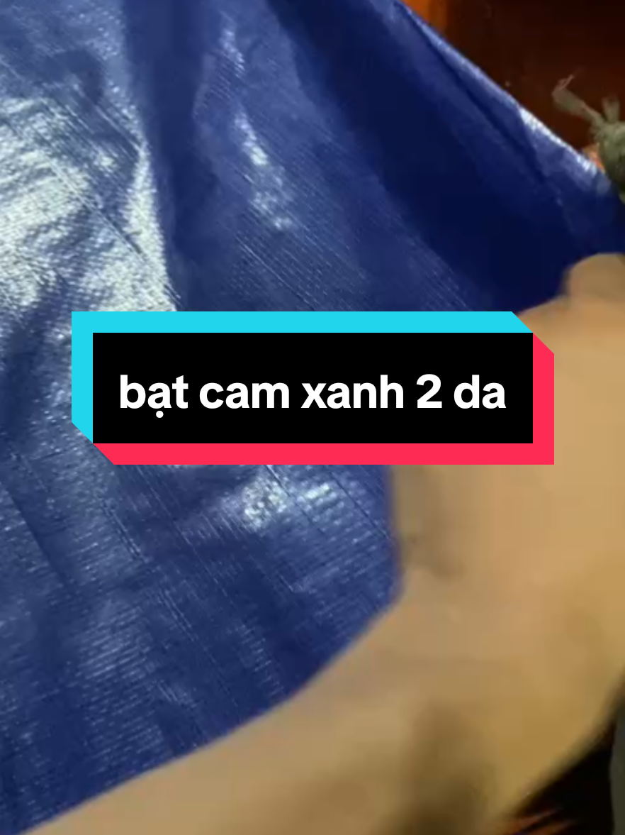 Bạt cam xanh 2 da rộng 6 x 50  phục vụ che nắng mưa công trình nông nghiệp và công nghiệp #bạt cam xanh 2 da#xuhuongtiktok2026♥️🔥🌻🔥 #@Kim Hạnh Gia Dụng 
