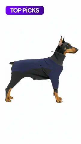 Top Picks Dog Winter Jacket, Windproof & Warm Polar Fleece Lining for Small/medium/large Dogs, Ideal Cold-Weather Clothing #winterclothes #fleecejacket #dogclothes #doghoodie #dogfashion #dogsupplies #dogwinterjacket #puppymusthaves #dogchristmasoutfit #mydogtools