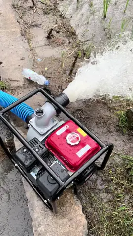 Mesin Water Pump TIGER TGP80 3inch Mesin Pompa Air Sawah 4Tak Mesin Pompa Irigasi Sawah Pompa Air Alkon Bensin #waterpump #pompaair #pompasedot #pompairigasi #alkon 