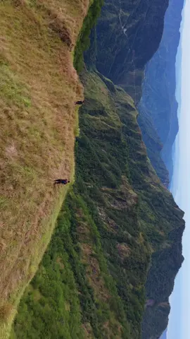 Mt. Kimat Patil Ao, a fresh trail in Ilocos Sur with a surprising name rooted in a lightning incident. 6/9 difficulty #mtkimat #hikingadventures 