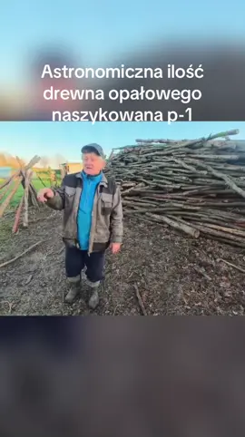 Astronomiczna ilość drewna opałowego naszykowana p-1