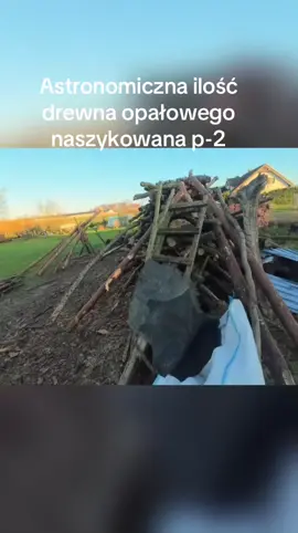 Astronomiczna ilość drewna opałowego naszykowana p-2