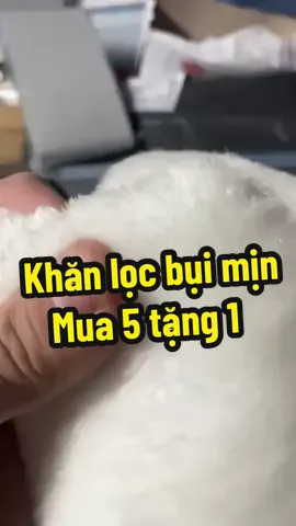 Khăn lọc bụi mịn cho bể cá., mua 5 tặng 1 #thuysinh #xuhuong #phukiencacanh #visinh #xuhuong 