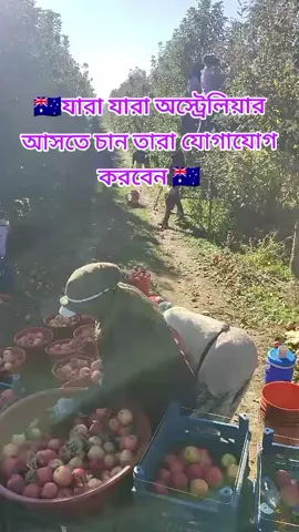 #australia🇦🇺🇦🇺 #যারা যারা অস্ট্রেলিয়ার আসতে চান তারা যোগাযোগ করবেন # সবাই একটু সাপোর্ট করবেন #🇦🇺🇦🇺🇦🇺🇦🇺🇦🇺🇦🇺🇦🇺🇦🇺😊😊😊🥰🥰🥰❤️❤️💝💝🇦🇺🇦🇺🇦🇺🇦🇺💸 ##🍊🍊😌🇦🇺🇦🇺🇦🇺🇦🇺🇦🇺🍊🍊🍊🍊🍊🍊🍊🍊🇦🇺🇦🇺🇦🇺🇦🇺🇦🇺🇦🇺🇦🇺 