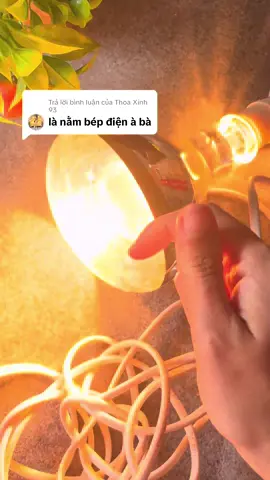 Trả lời @Thoa Xinh 93 đèn sưởi cho mẹ và bé #densuoi #ocusausinh #phamthaovan #mebimsua 