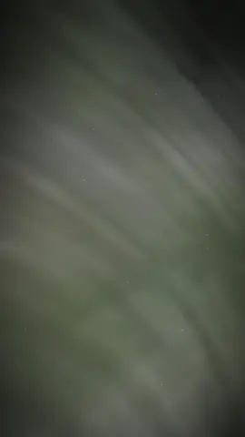 #CapCut 