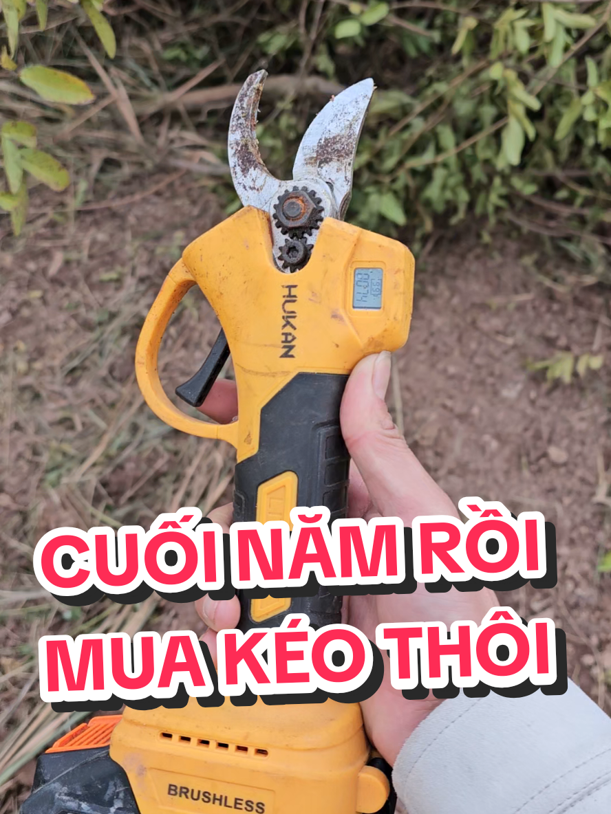 Trâu làm chó đớp giờ nhiều lắm #keocatcanhpin #keocatcanhhukan 