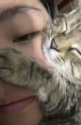Does your cat also sleep on your head? 👇#ClingyPet#SleepyCat#ClingyCat#CatNap#NappingCa#HeadCuddle#SleepingCat