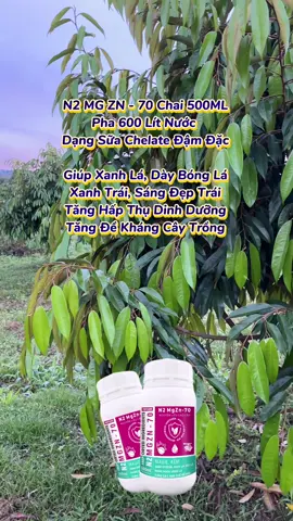 N2 MG ZN-70 Chai 500ML. Chứa Magie Kẽm Dạng Sữa Chelate Giúp Cây Nhanh Hấp Thu #xuhuong #nongdan #saurieng #nongnghiep #lamvuon 