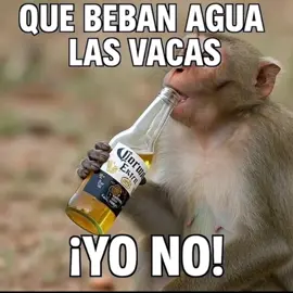 Hoy se bebe 🍻