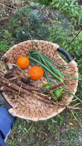 Tonight’s #gardentotable dinner 😋 #growyourownfood #gardenharvest  