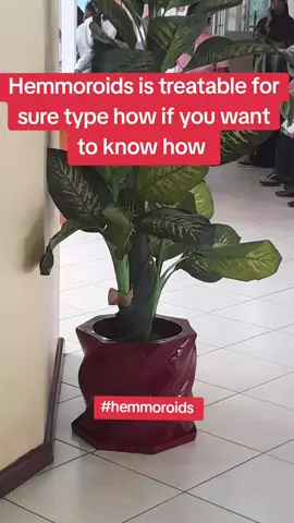 You think it’s just discomfort… until it feels like you’re sitting on a volcano. 🌋😨. . Ignore that itching now… meet your new roommate later: Mr. Hemorrhoid 👀🔥#hemmoroids #pile #treatment #kenyantiktok🇰🇪 #fyp 