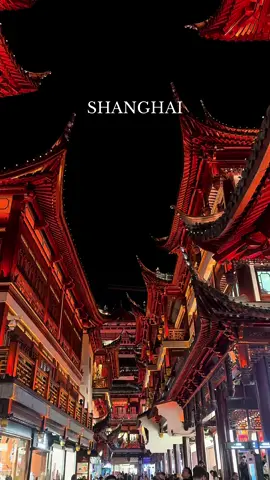 My favourite city 🇨🇳                                    #shanghai #china 