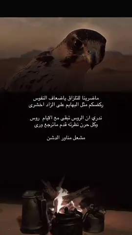 #شعر #اكسبلور #اكسبلور 