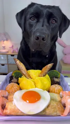 #dogeating #labrador #asmr #immersive #dog 