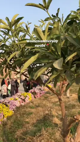 Women university swabi📍#pleaseunfrezzemyaccount #plasetiktokteamviralvideo💯 #fpy #foryoupage #plzsupport 