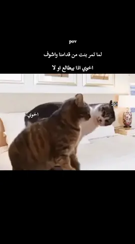 @رائــد #مالي_خلق_احط_هاشتاقات 