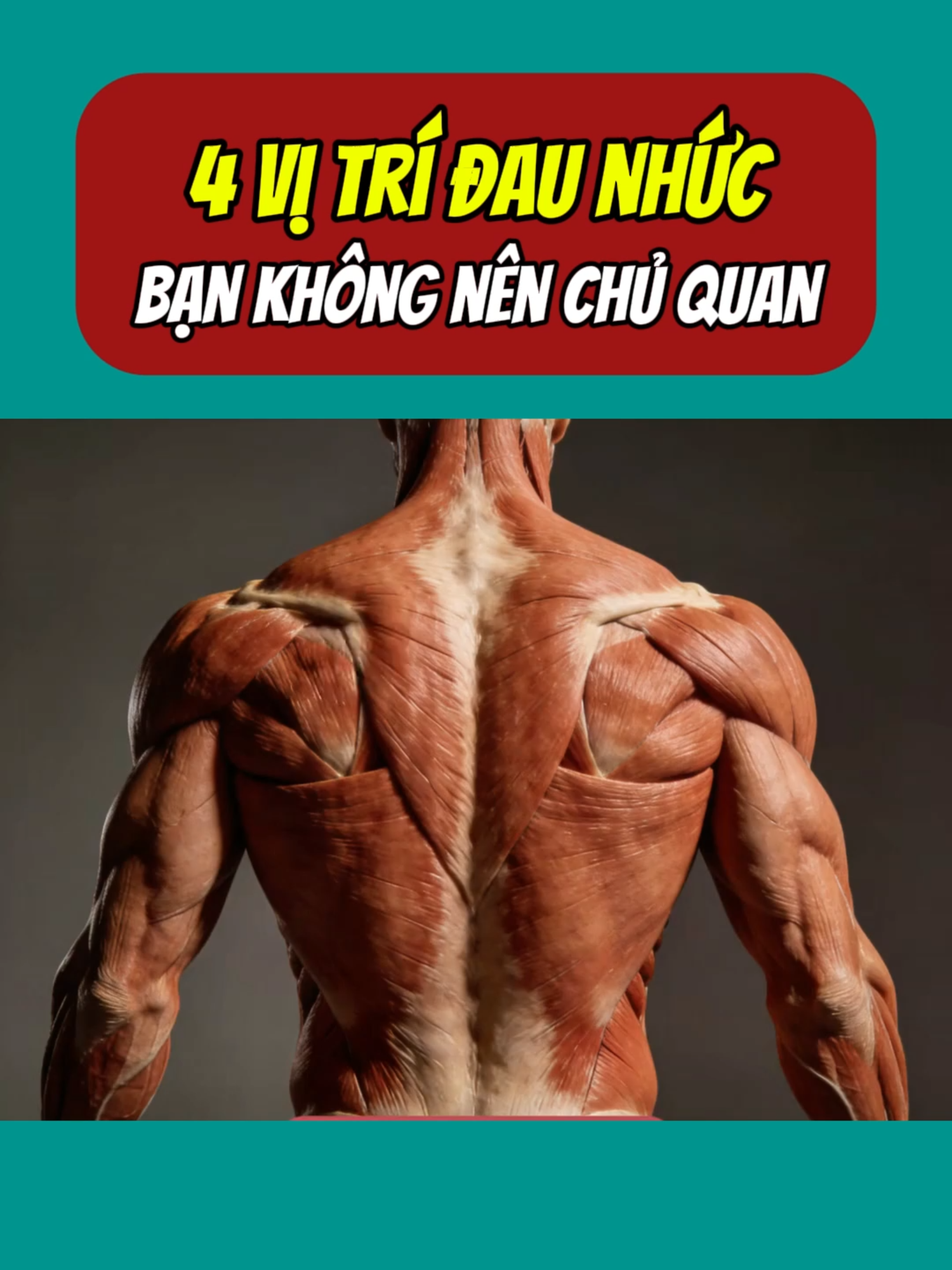 4 vị trí đau nhức, bạn không nên chủ quan#trilieuvientam #hoangdieptrilieu #vatlytrilieu #xuhuong #suckhoe #xuhuongtiktok #daumoivaigay #daulung #tucnguckhotho