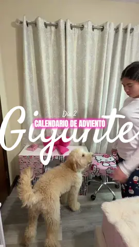 En el día 2 Cameo🐶 abrió su regalo 🤣🎁🎄💗 #calendariodeadviento #christmas #Vlogmas #boricua #goldendoodle 