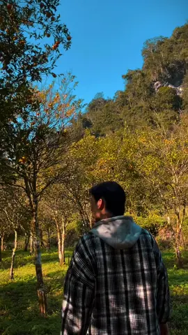 Ở dưới xuôi chúng mình gọi view này là view triệu đô, vậy thì ai mới là người dư dả
