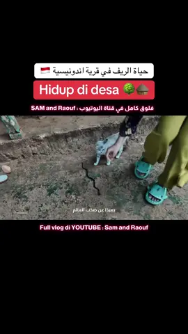 قناة اليوتيوب : sam and raouf  #fyp #madura #indonesia  #الشعب_الصيني_ماله_حل😂😂 
