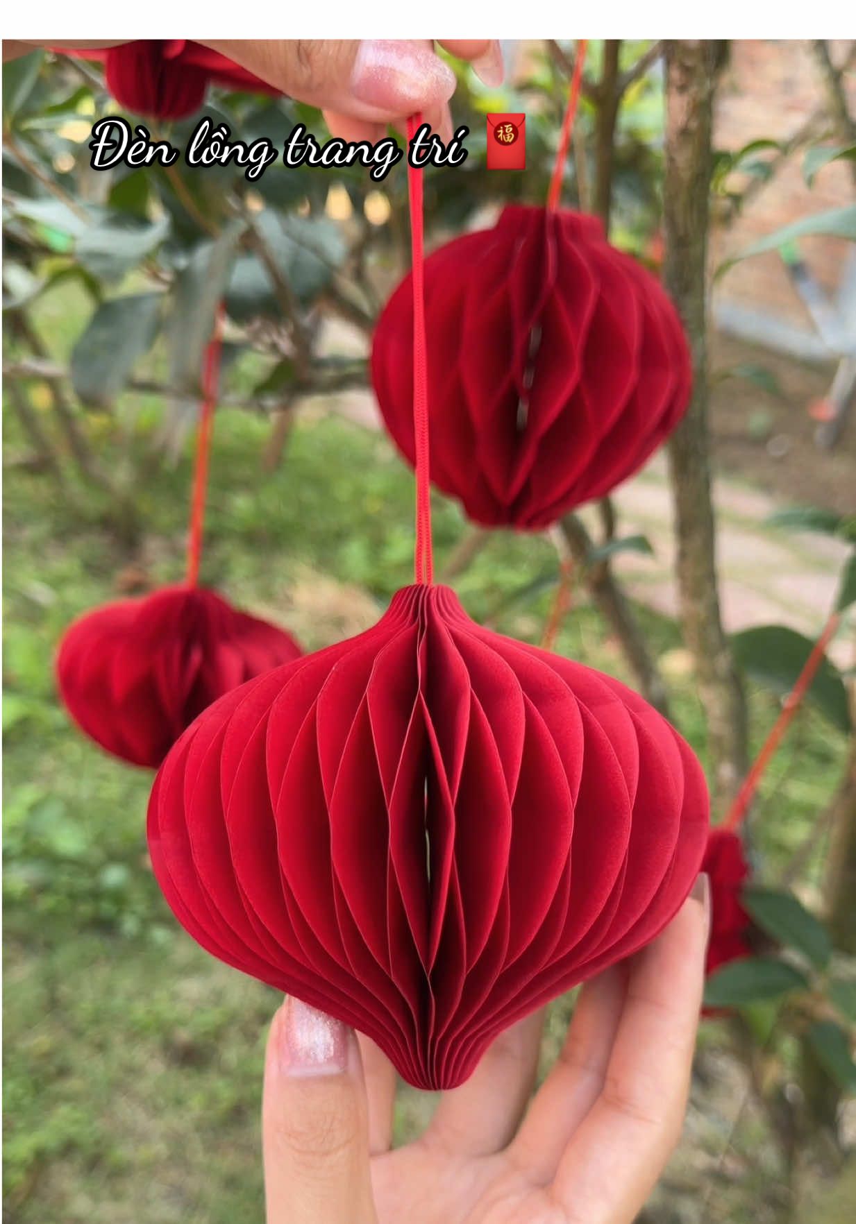🏮Đèn lồng trang trí Tết năm nay màu đẹp xinh quá treo lên sang trọng hẳn 🎆🎇 #trangtritet #denlongtet #denlongtrangtri #tet2026 