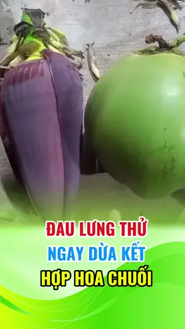 Đau lưng thử ngay dừa tươi kết hợp hoa chuối #suckhoe #daulung #thaoduocmoccan 