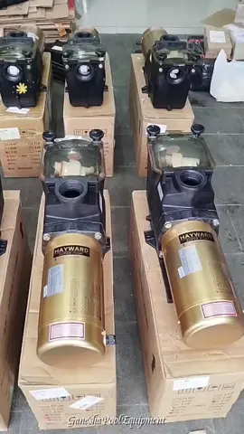 ready pompa hayward mwxico 1hp, 1.5Hp, 2Hp, dan 3Hp. silahkan di order! stok terbatas🤗👌 #siang #pompakolam #hayward #fypシ #viral 