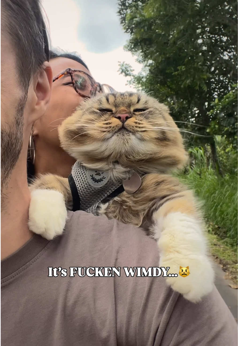 It’s FUCKEN WIMDY 😾 #cat 