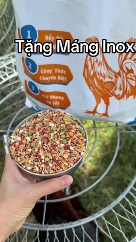 Tặng Máng inox