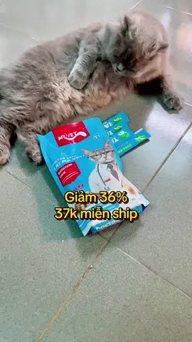 Hạt MrVet Cải Thiện Tiêu Hóa #minkhoioi #hatchomeo #thucanhatchomeo #thucanchomeo #hatmrvet  @Min Khôi Ơi  @Min Khôi Ơi  @Min Khôi Ơi 