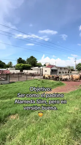 🙏🏼🐮🤠#rancherita #campo #ganaderia #ganadera #paratii 