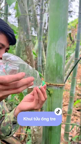 Tửu ống tre nay mới đến ngày khui.các bác uống tửu.này chưa#Khanhnuibacgiang 