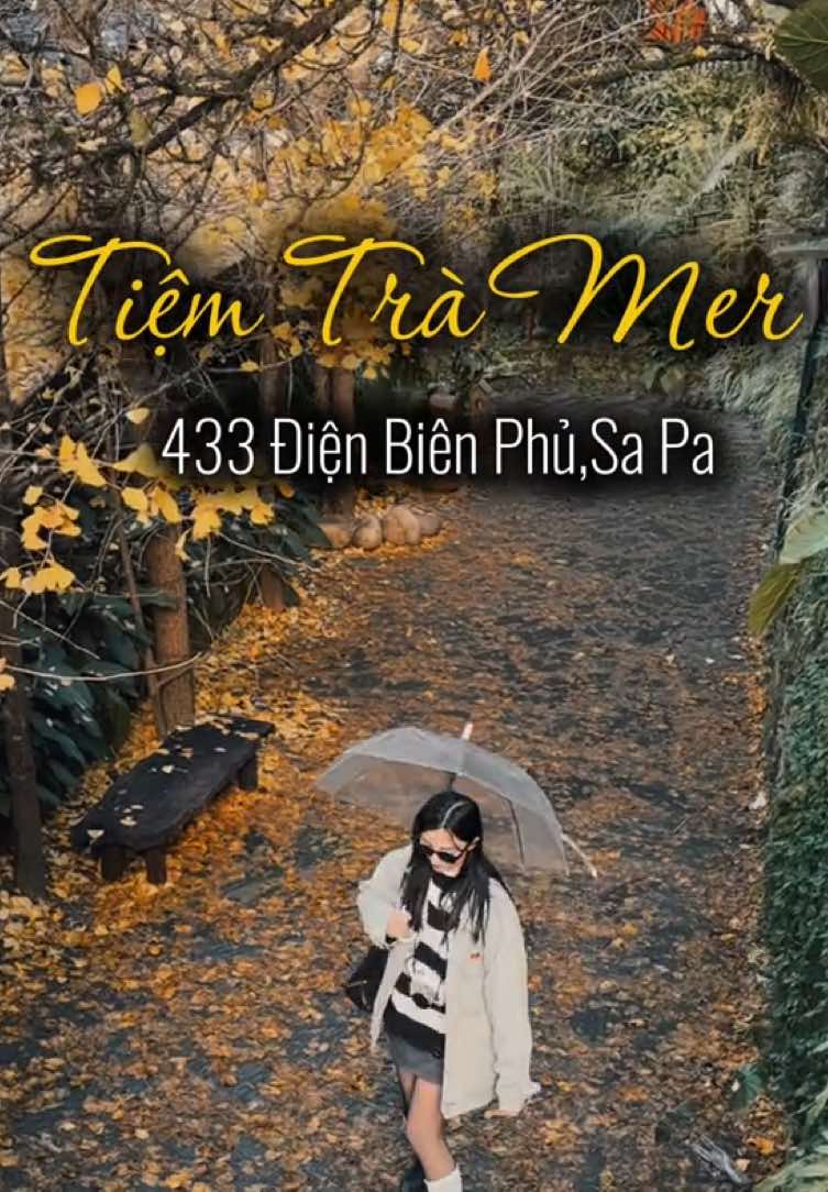 Tiệm Trà Mer - Sa Pa View Sa Pa mà rất Hàn Quốc 🍂🍂🍂  #sapa #tiemtramersapa #travel 