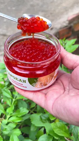 Trứng cá hồi đỏ Nga nhập khẩu 220g hộp thủy tinh ăn liền Thức Ăn Ăn Vặt#mebapanvat #mónngon #xuhướng 