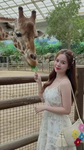 Vì em biết khoảng cách sẽ dần giết ta theo thời gian😔#CapCut #Gemini #videoviral #trending #fyp 