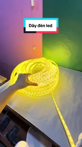 Dây đèn led ánh sáng vàng #dayled #dayledtrangtri #denledtrangtri #ledtrangtri #denleddecor 