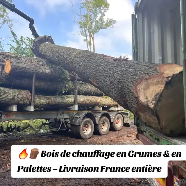 Bois de chauffage sec et de qualité premium, disponible en grumes pour ceux qui souhaitent fendre eux-mêmes, ou en palettes de bois fendu prêt à l’emploi. ✔️ Essences : chêne, charme, hêtre ✔️ Bois sec, propre et durable ✔️ Formats : 25, 30, 50, 60 stères en grumes – 33 cm / 50 cm en palettes ✔️ Idéal pour poêles, cheminées, inserts et professionnels ✔️ Livraison rapide partout en France 🔥 Grumes déjà sèches – longue combustion, parfait pour gros volumes 🪵 Palettes fendues – faciles à stocker, prêtes à brûler #livraisondanstoutelafrance #boisdechauffage #buchedebois #livraisondomicile #boisavendre #Boisprofesionnel #boissec #hiver2025 