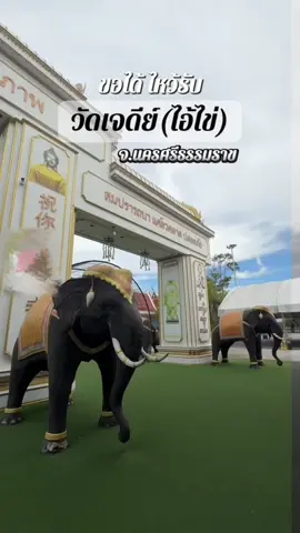 Wat Chedi là một ngôi chùa nổi tiếng ở huyện Sichon, tỉnh Nakhon Si Thammarat. Ngôi chùa này nổi tiếng với 