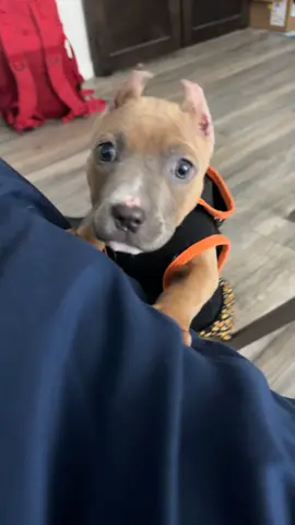 First outfit!! 
