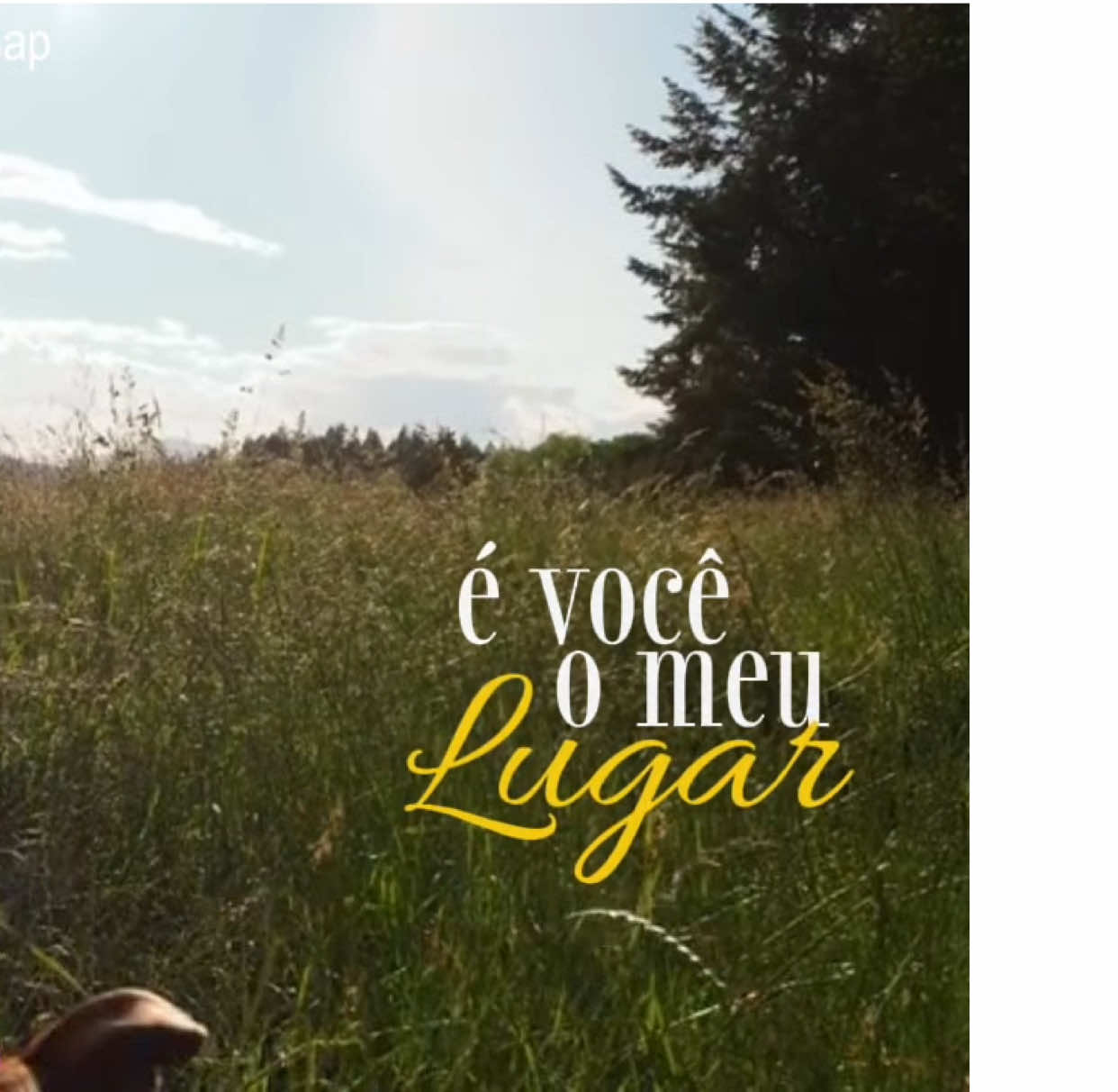 A melhor dele ❤️‍🩹❤️‍🩹 #jorgevercillo #mpb #lyrics 
