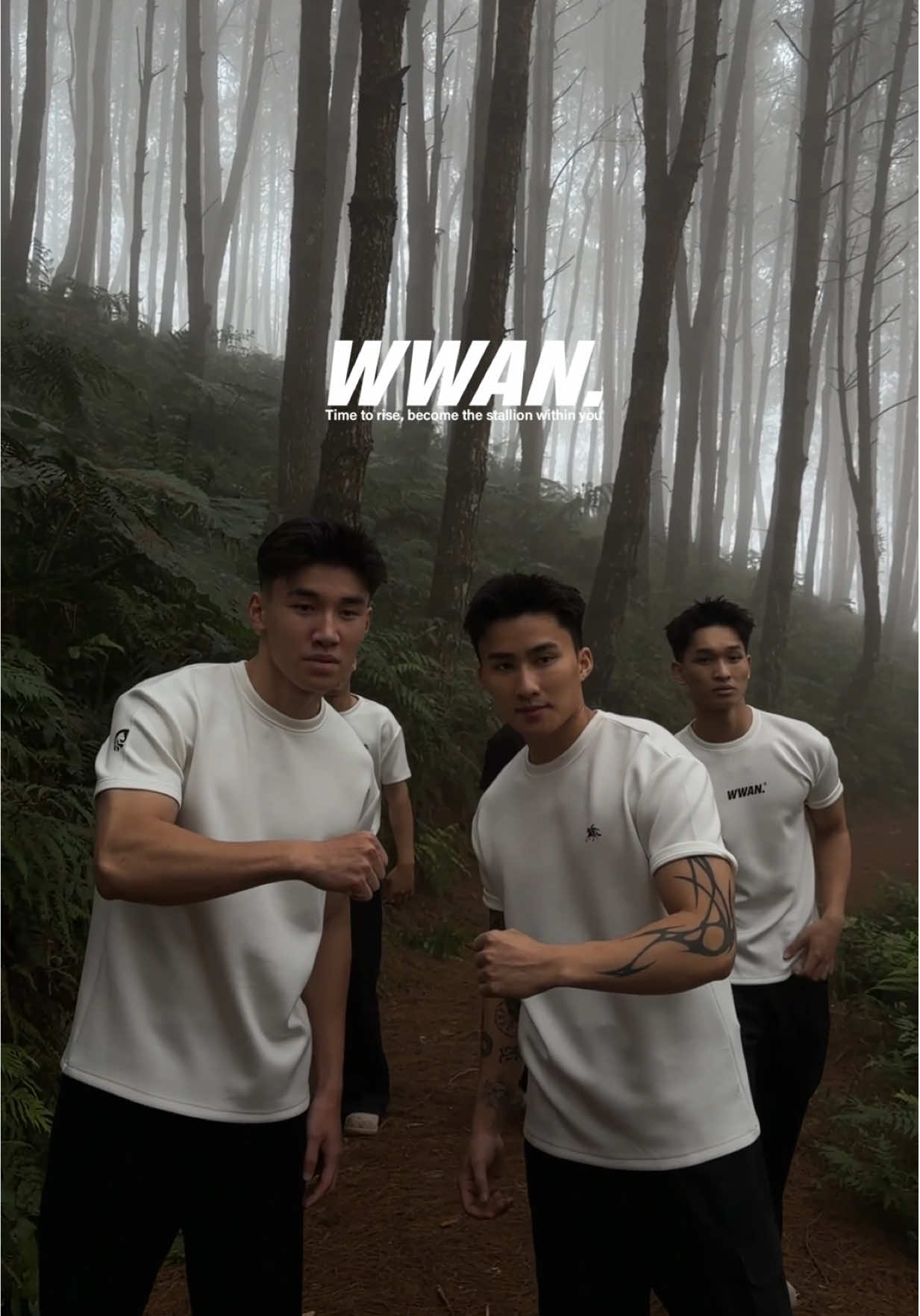 WWAN - Time to rise, become the stallion within you #womanwan #wwan 